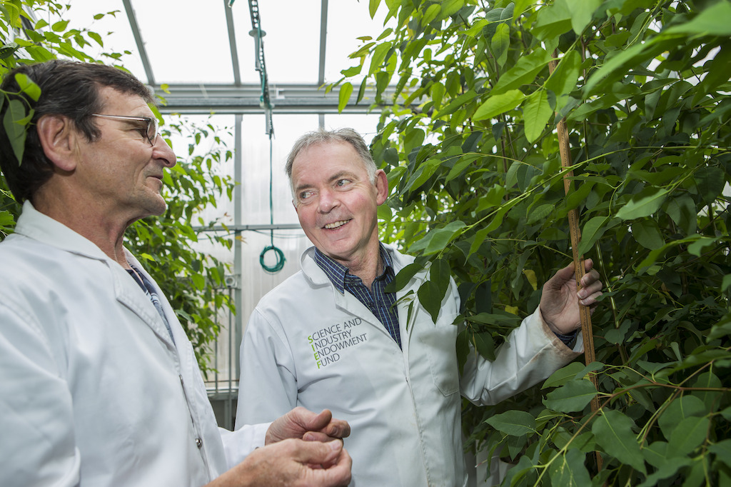 Peter Criso and Graham Farquhar (R). Image: Stuart Hay, ANU