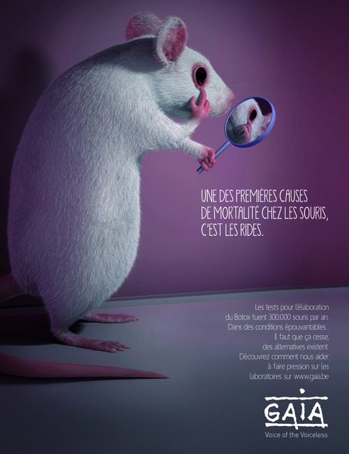 Annonce HiRes