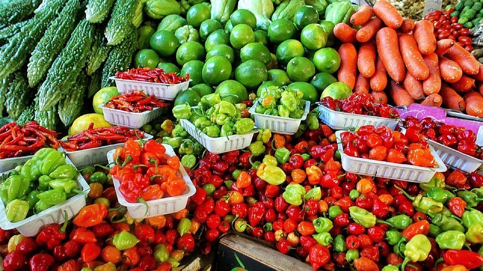 Strengthening National Agriculture Health and Food Safety Councils