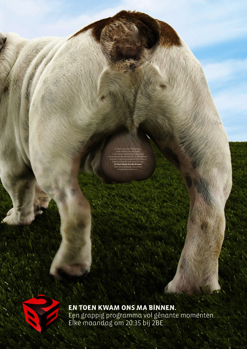 Advertentie print