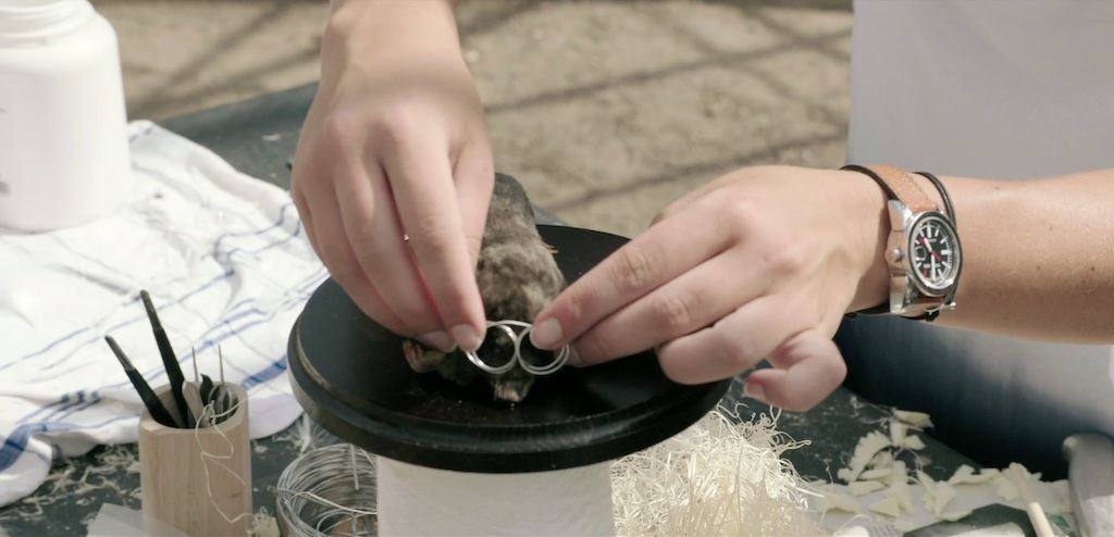 Workshop taxidermie <br/>Weg zijn wij (c) VRT