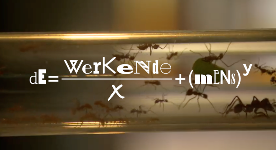 Canvas | De werkende mens - Een documentaire reeks over de Vlaming en zijn werk