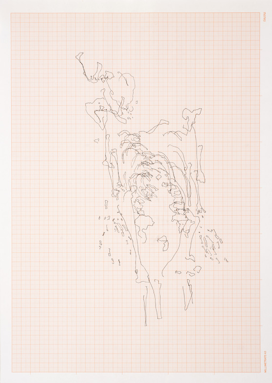 Meessen De Clercq_Nicolas Lamas_Eye tracking_2016_Drawing on graph paper_30,5x42,5 cm