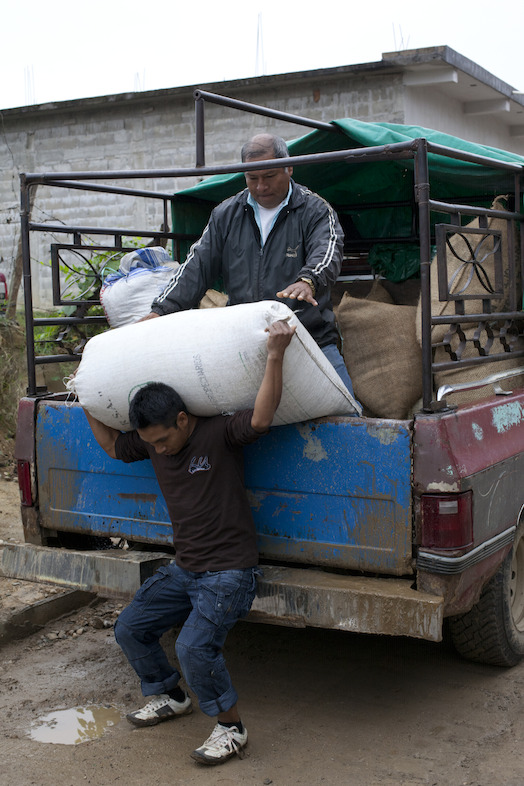 As owners of a small coffee cooperative, CIRSA's farmers lack most labor-saving tools.