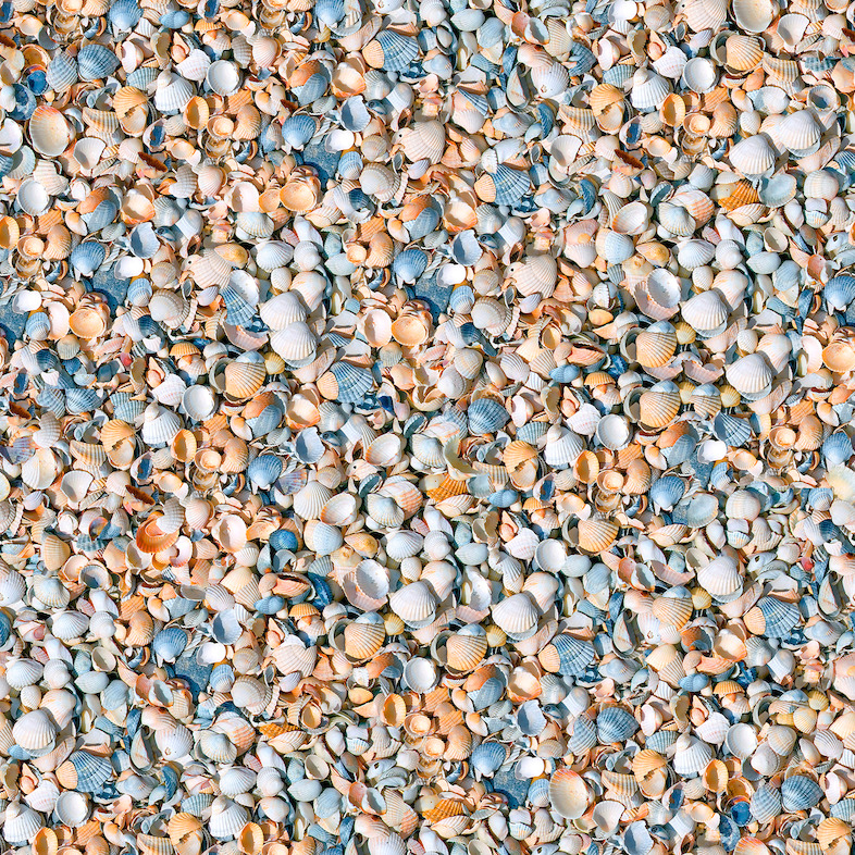 Shell | <br/>Shell Texture Vinyl Flooring