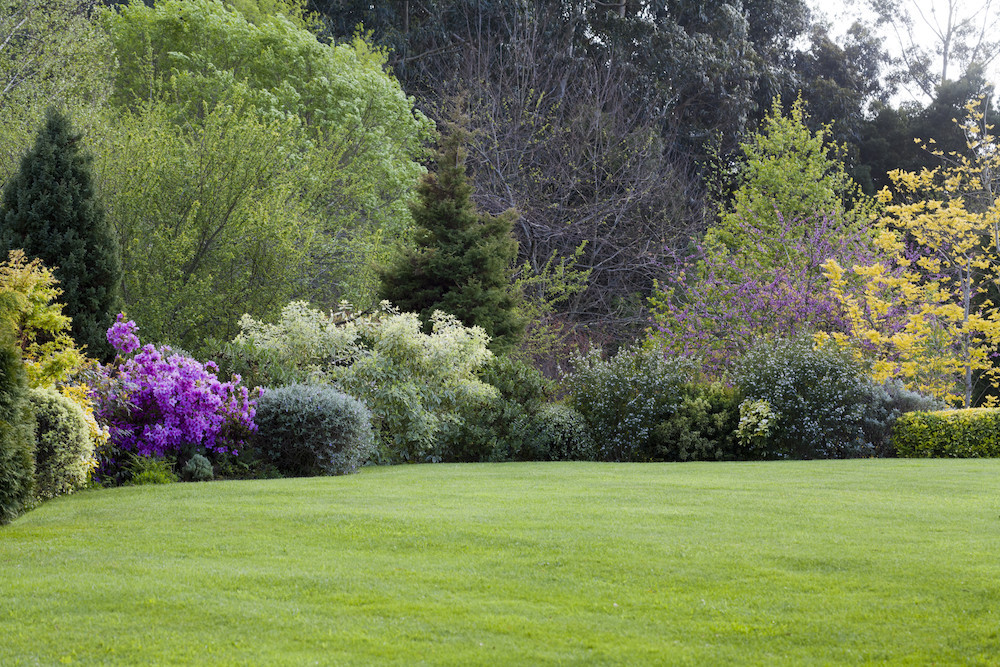 The experts at Pike Nurseries give “March”ing orders for a lush lawn
