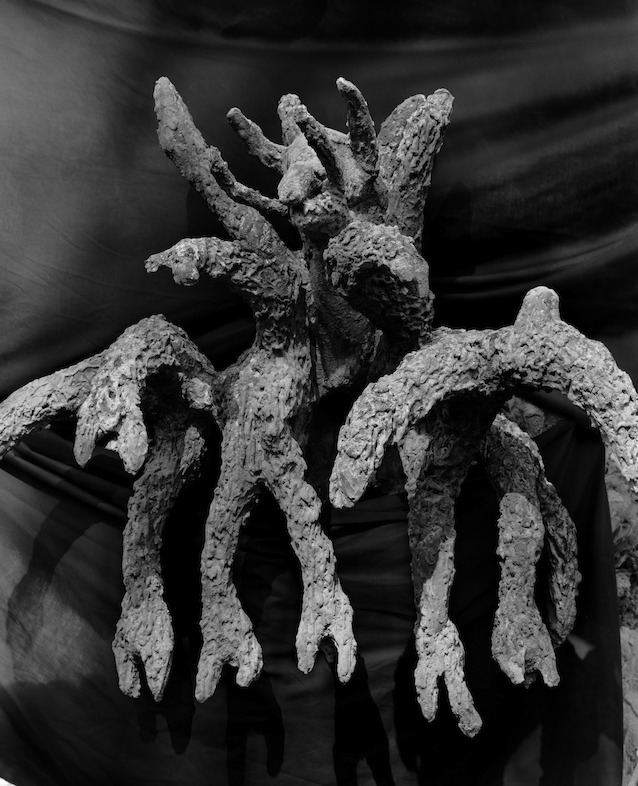 Aurélien Froment<br/>Tombeau Idéal de Ferdinand Cheval (11-02)<br/>2014<br/>Archival pigment print<br/>61,5 x 51,5 cm <br/>Courtesy of the artist and Marcelle Alix, Paris