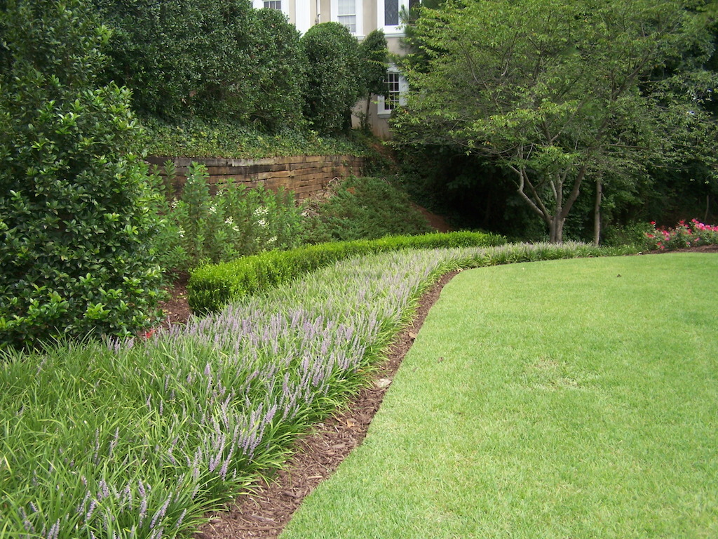Liriope & Lawn