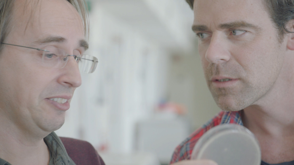 WRDW: Jeroen Buyse en Bart Braeckman - (c) VRT