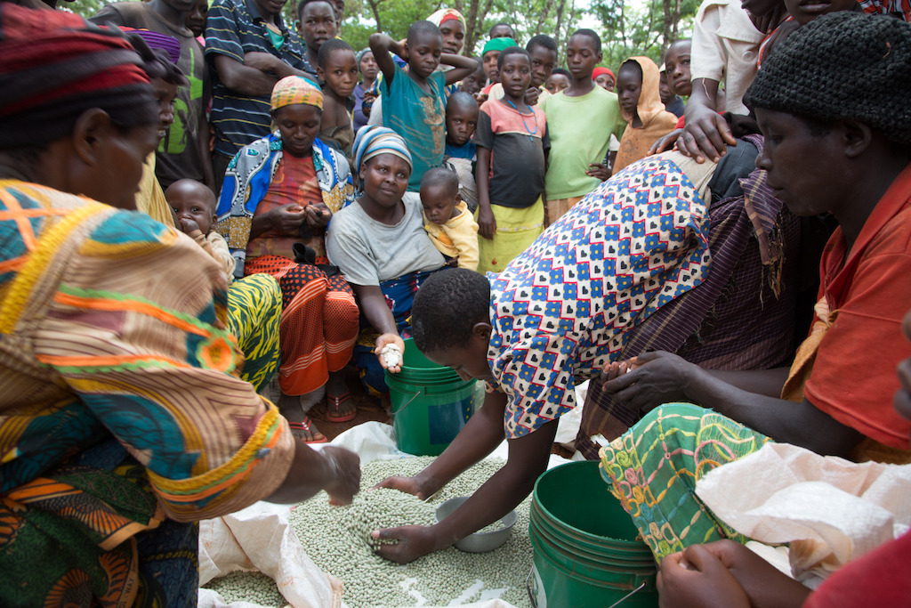 The World Food Programme (WFP) is in charge of food distribution. Maize flour and green peas are distributed to refugees in order to reach the recommended nutritional intake of 2100 calories per person per day. Photographer: Louise Annaud/MSF