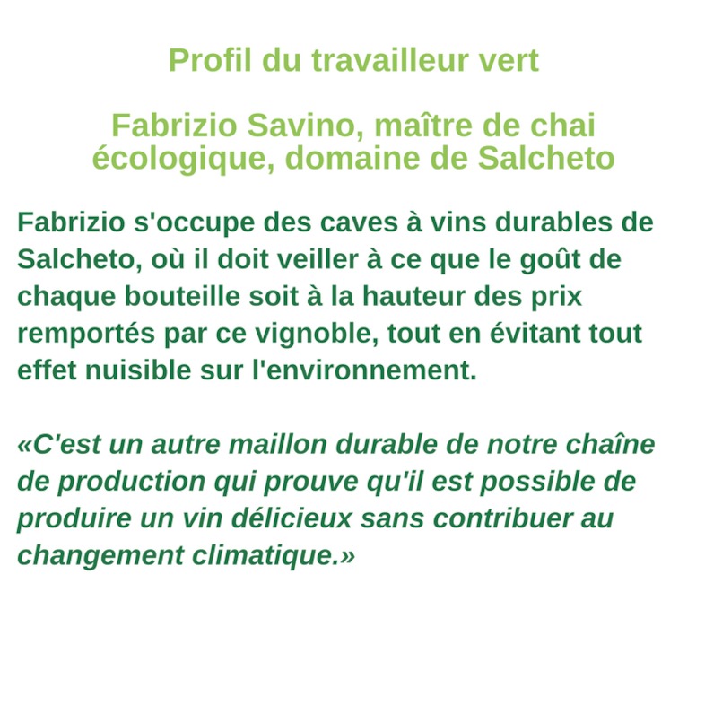 Profil du travailleur vert - Fabrizio Savino