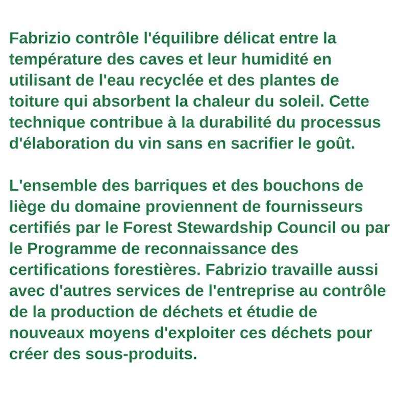 Profil du travailleur vert - Fabrizio Savino