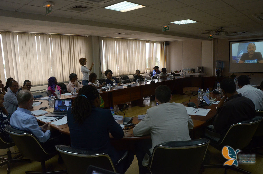 30 Under 30 virtual award ceremony from Martinique. © Collectivity of Martinique.