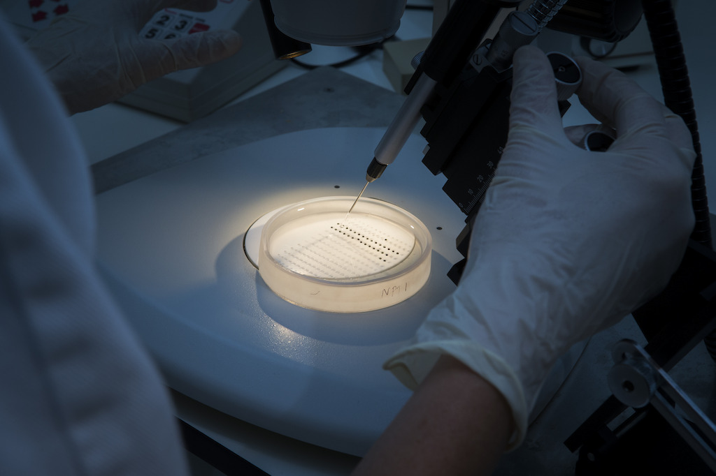 Research lab. Image: Stuart Hay, ANU
