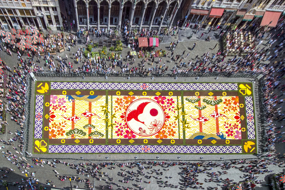 Le 20ème Tapis de Fleurs enfin déroulé sur la Grand-Place de Bruxelles