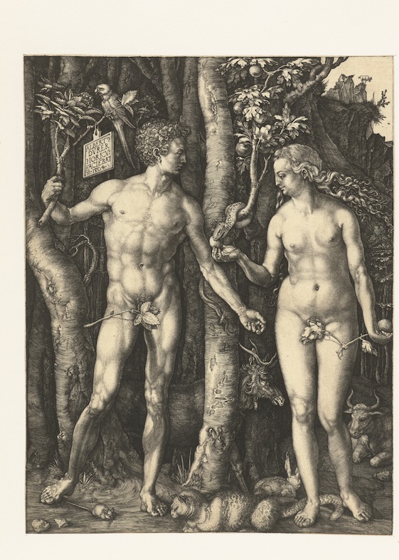 © Albrecht Dürer, The Fall of Man, Nuremberg, 1504. Amsterdam, Rijksmuseum, Rijksprentenkabinet.