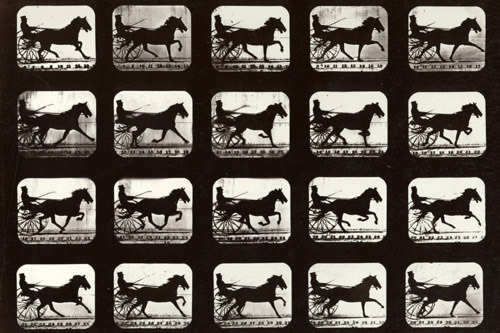 Motion Study - Eadweard Muybridge © Stanford University