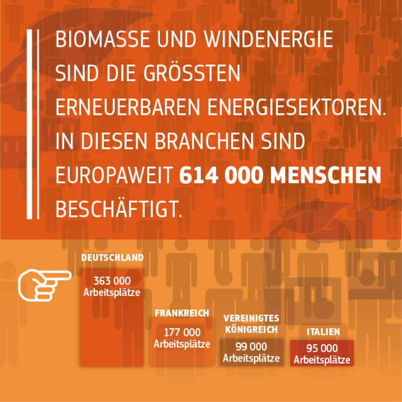Quelle: https://www.eurobserv-er.org/16th-annual-overview-barometer