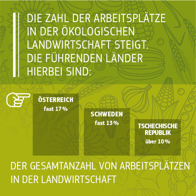 Quellen: Quellen: European Commission 2016, Facts and figures on organic agriculture in the European Union: https://ec.europa.eu/agriculture/organic/sites/orgfarming/files/docs/pages/014_en.pdf. <br/>Europäische Kommission 2017, GD Umwelt, basierend auf Eurostat- Daten.<br/>IFOAM/FIBL The World of Organic Agriculture. Statistics and Emerging Trends 2017: https://shop.fibl.org/chen/mwdownloads/download/link/id/785/
