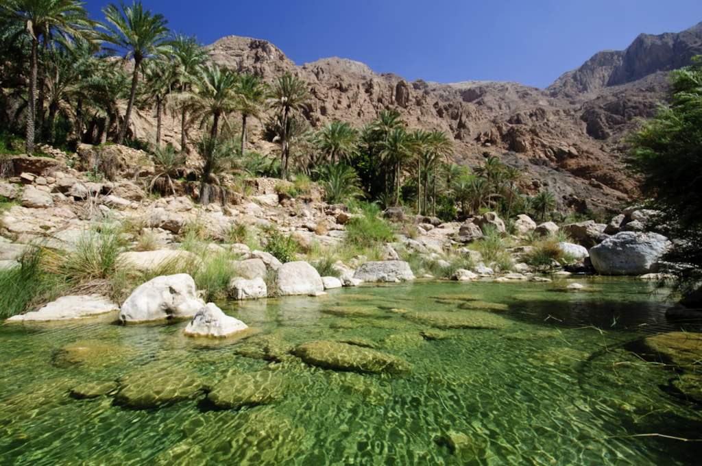 Oasis in the Omani desert