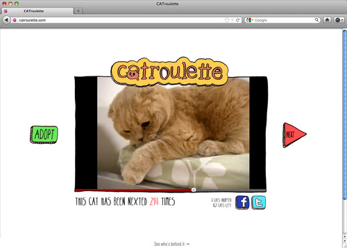 Catroulette 1