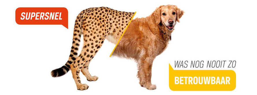 Telenet Business brengt snelste coax internetproduct op de markt