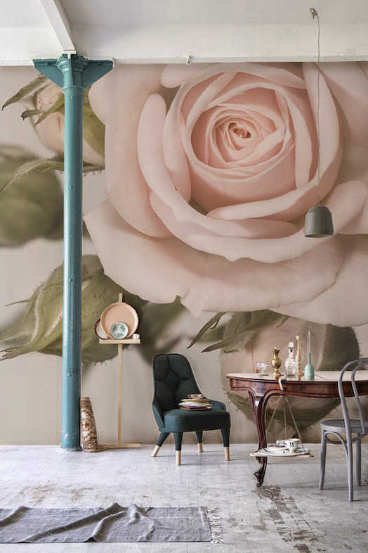 Prink Rose Wallpaper Mural