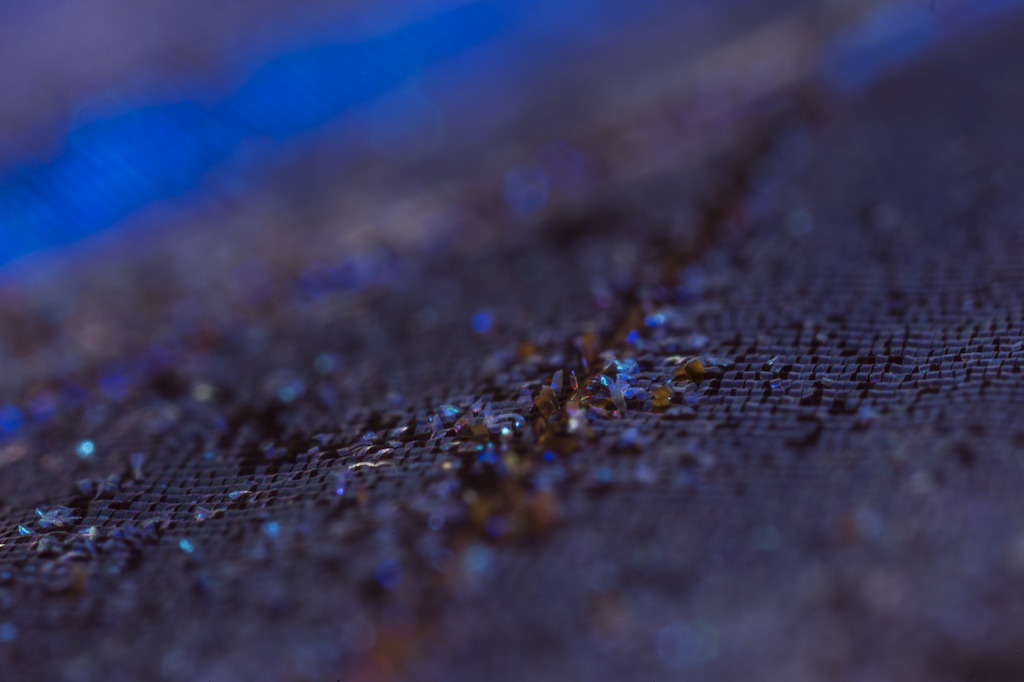 A close up of a blue Morpho butterfly's wing. Image: Stuart Hay, ANU.