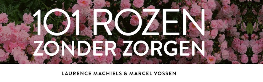 Persvoorstelling '101 Rozen zonder zorgen' in rozentuin Coloma