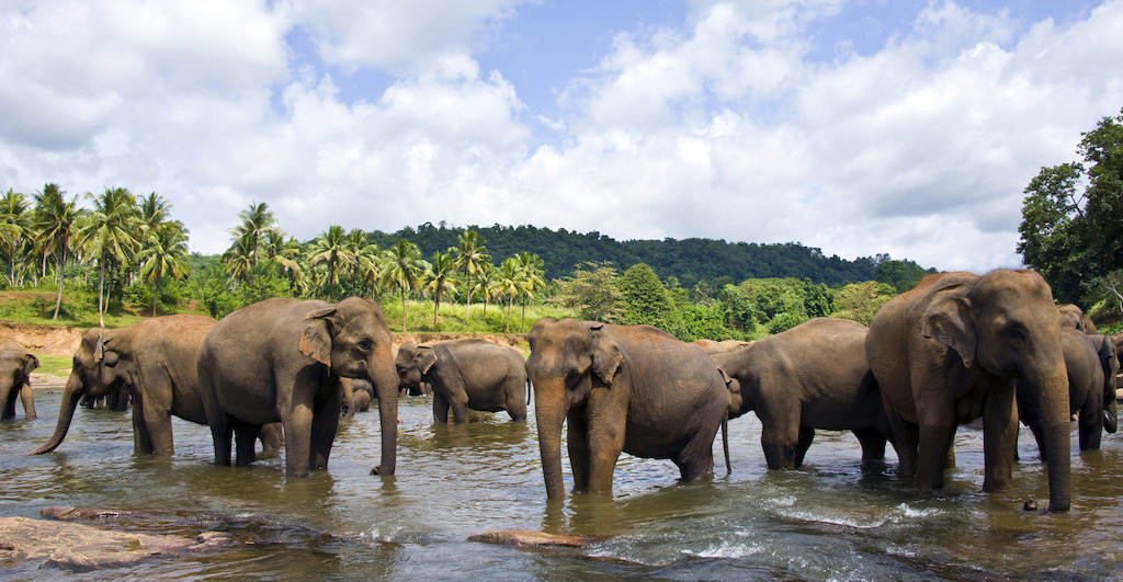 Sri Lanka