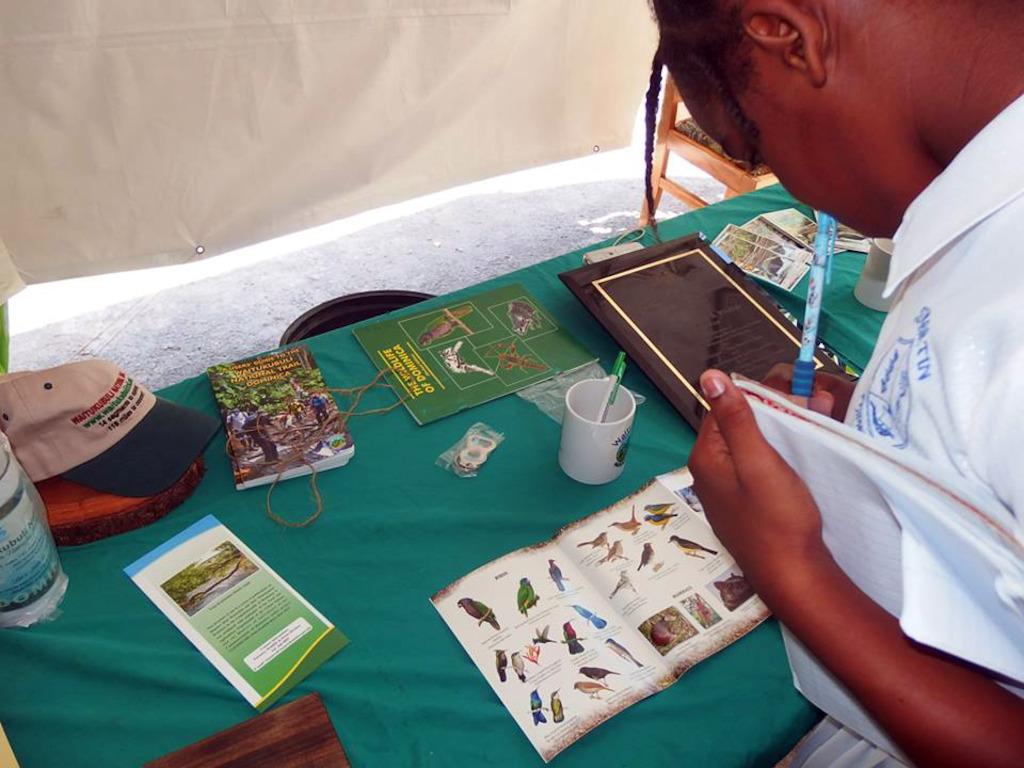 Moments from Climate Fest 2016, held in Dominica.