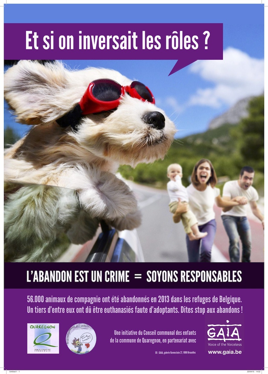 Journée d’action pour les animaux à l'approche des vacances d'été