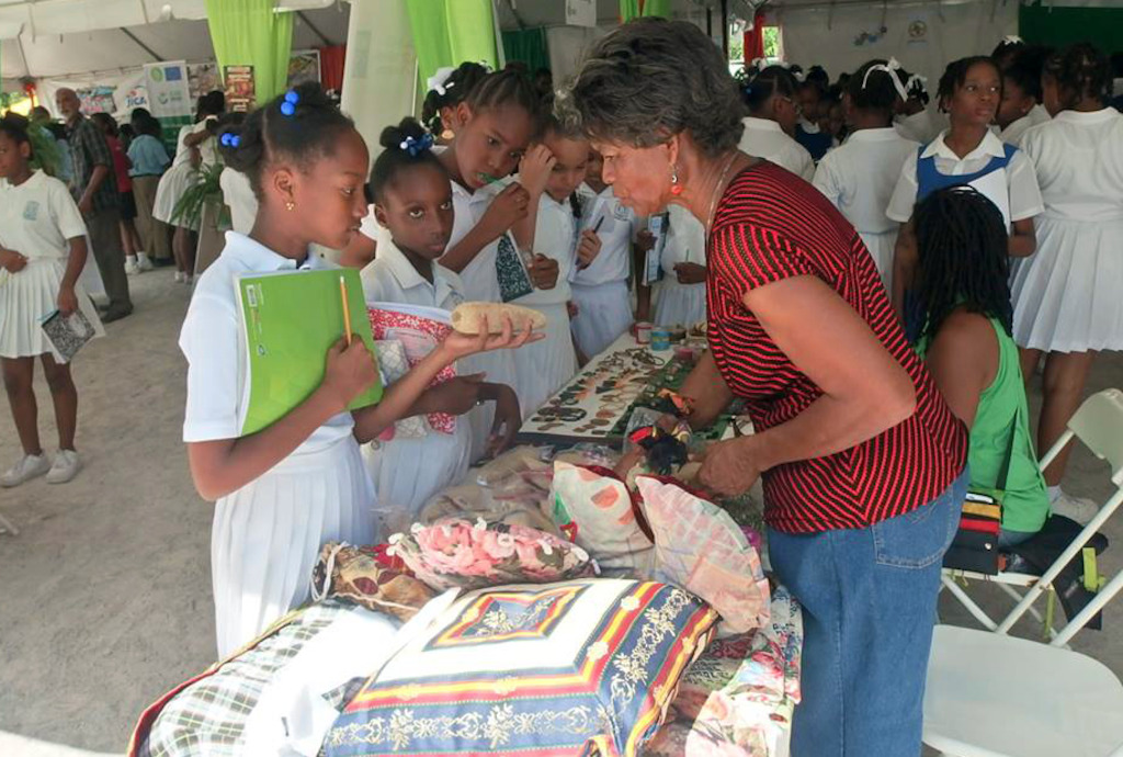 Moments from Climate Fest 2016, held in Dominica.