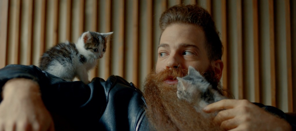 AXE Spot still 4