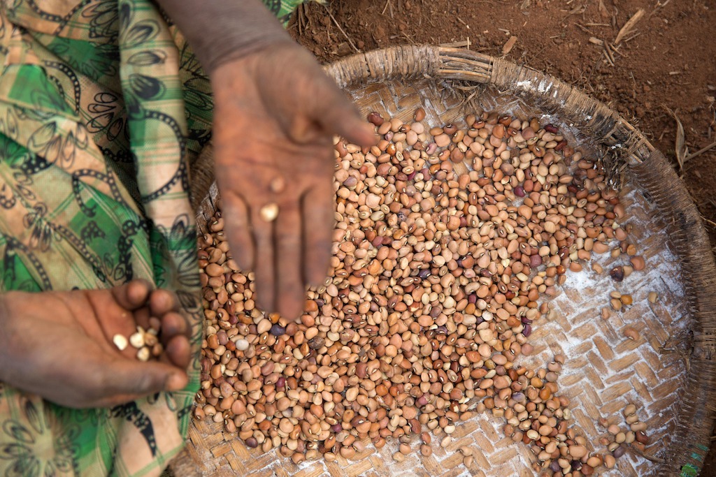 Over 5.800 Mozambican nationals have camped in the village of Kapise 2 in Malawi after fleeing their homes in Mozambique, the majority of them women, children and the elderly. © James Oatway / MSF