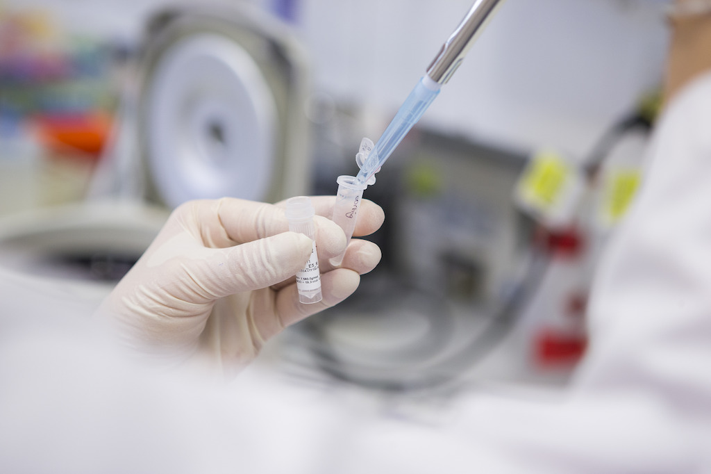 Close up of syringe. Image: Stuart Hay, ANU
