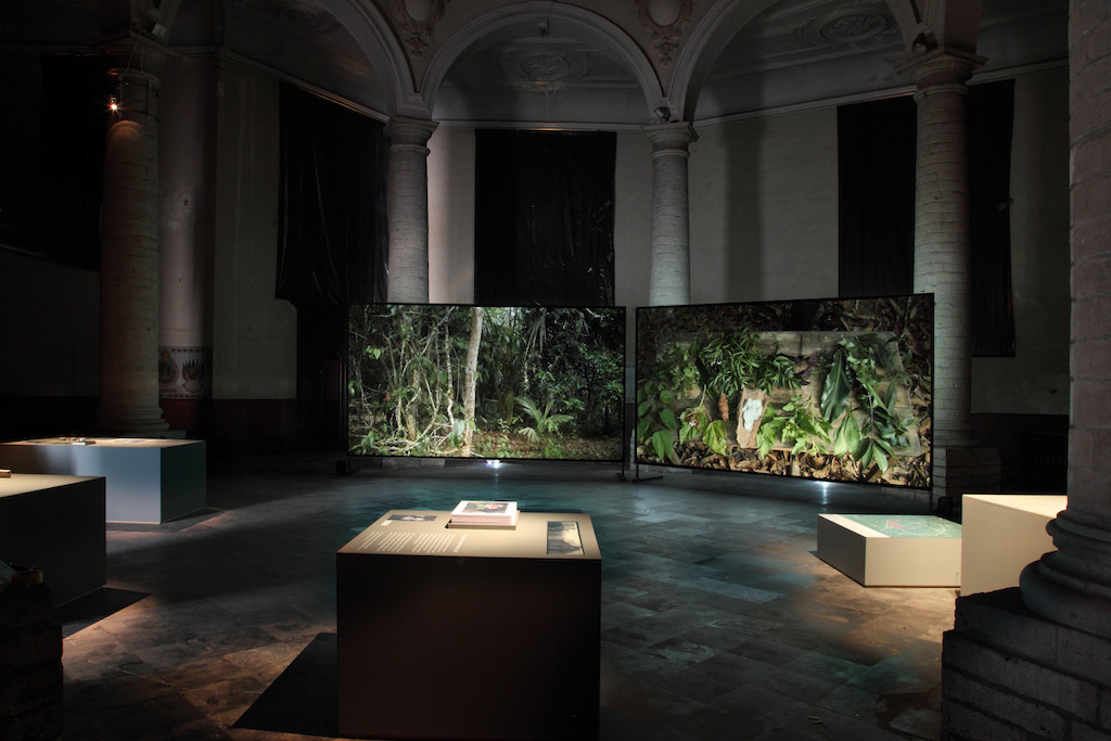 Ursula Biemann & Paulo Tavares, Forest Law, video still.<br/>Installatie @ KADOC voor Tracing the Future<br/>Foto (c) Dirk Pauwels