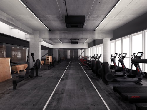 Venice Beach gym - Glenn Sestig