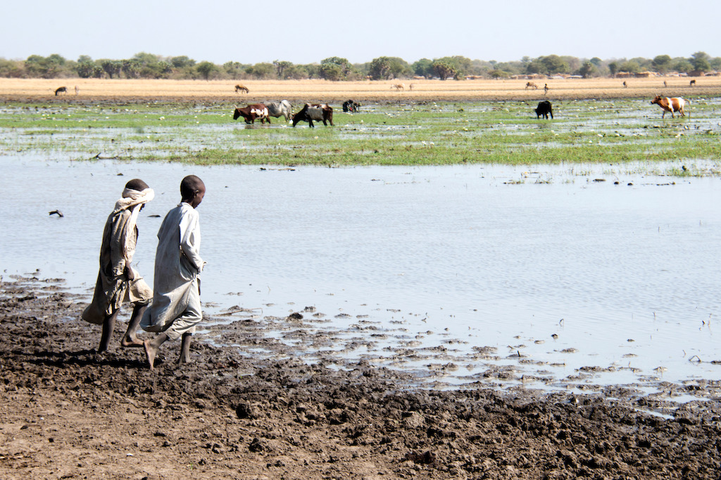 The water source used by a nomadic community, near the town of Ardo, in the region of Salamat, Chad. A significant number of cases of hepatitis E come from villages outside Am Timan, where MSF is not present, among them the recent case of a pregnant woman with Hepatitis E. MSF has decided to conduct some random assessments for hepatitis E outside Am Timan to have a clear view of what is happening. Hepatitis E is common in countries with poor resources and is transmitted through dirty water and poor hygiene when dealing with fecal matter. The most important thing to prevent the spread is to have safe water and know how to deal with waste management safely. Salamat Region of Chad. Photographer: Abdoulaye Barry/MSF