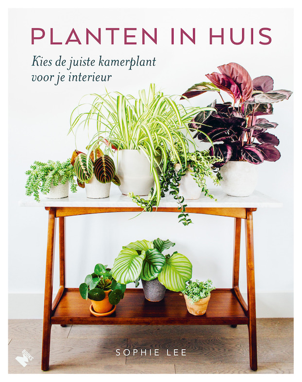 Planten in huis - Sophie Lee