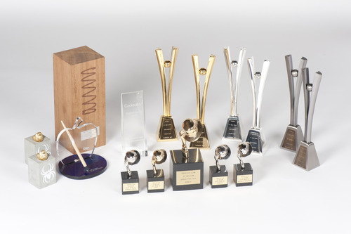 Golf Story Award Collection