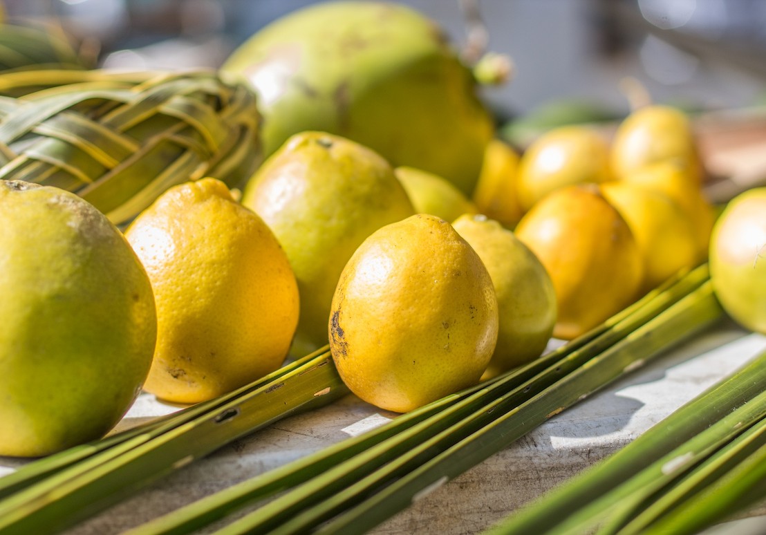 Agriculture Sector in Grenada poised for growth