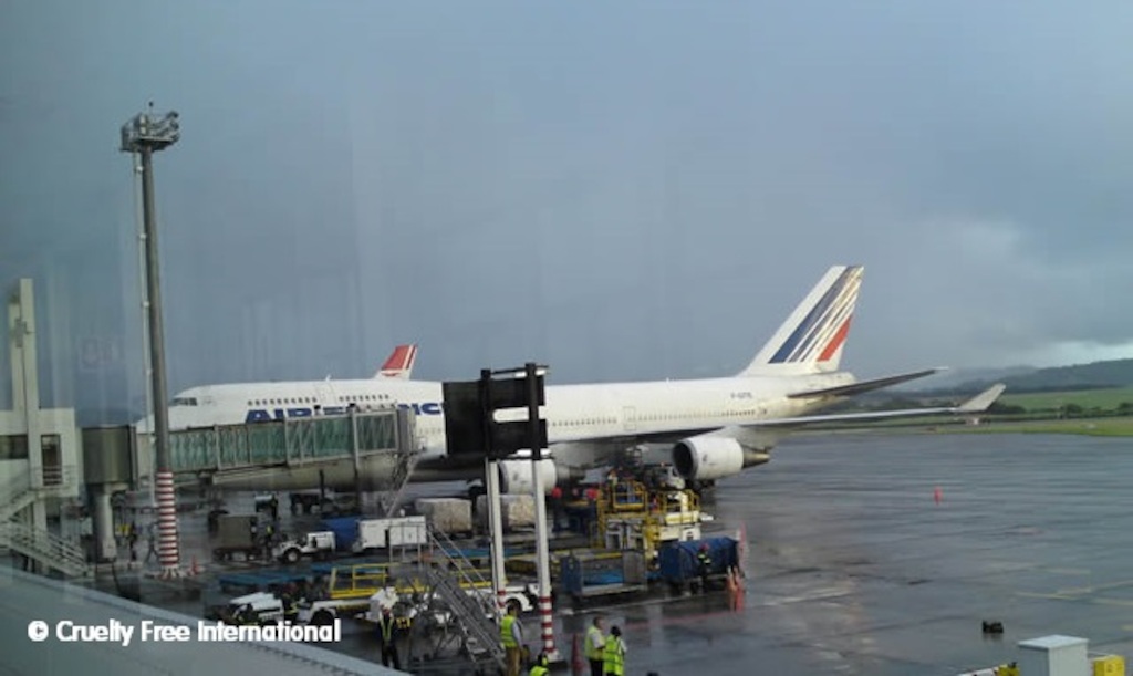 CFI Copyright Air France