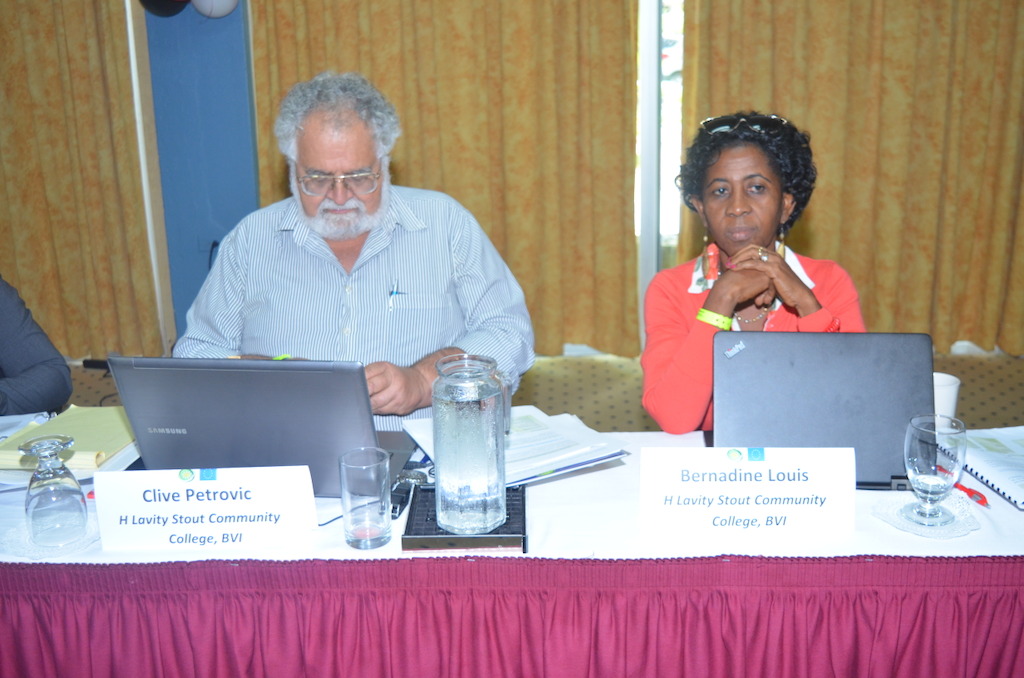 Participants at the Meeting