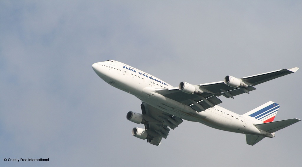 CFI copyright Air France leaving Mauritius
