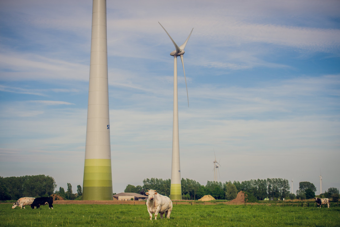 Storm en Clef plannen de ontwikkeling van twee windparken langsheen de A8/E429 in Doornik