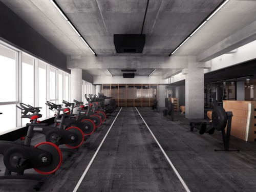 Venice Beach gym - Glenn Sestig