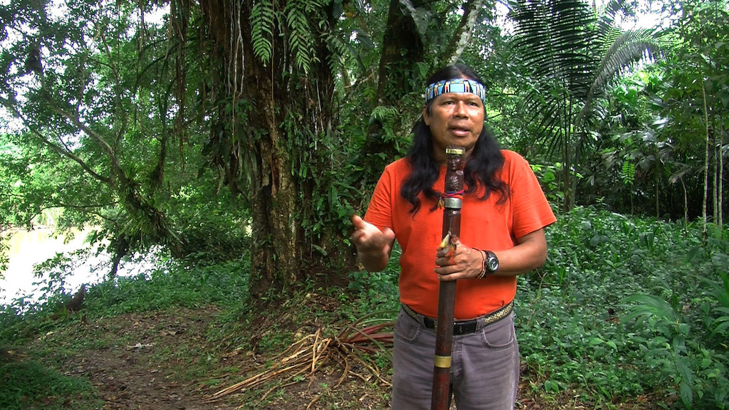 Ursula Biemann & Paulo Tavares, Forest Law, video still.