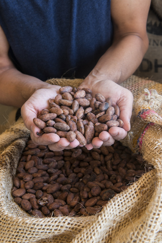 Fave di Cacao
