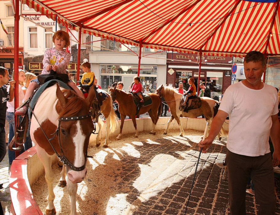 Bianca Debaets veut interdire les poneys de foire en Région de Bruxelles-Capitale